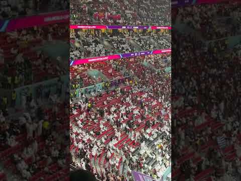 阿利森,末段征程激,情绽放,大众彩票,彩票平台,精准分析,彩票投注,在线购彩