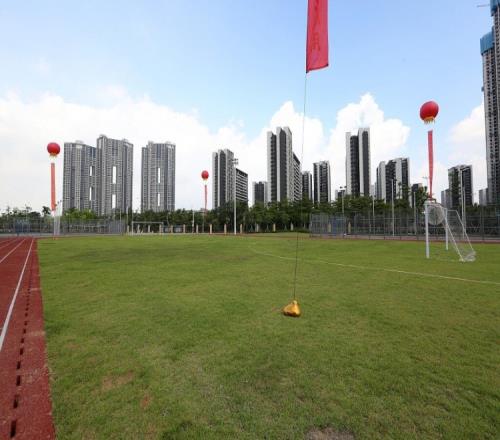 西班牙大胜,塞浦路斯,费兰,大众彩票,彩票平台,精准分析,彩票投注,在线购彩